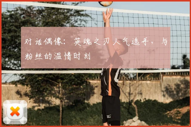 对话偶像：英魂之刃人气选手，与粉丝的温情时刻